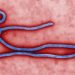 Ebola Alert: Lagos Mandates Strict Hygiene Upgrades for Hotels, Clubs