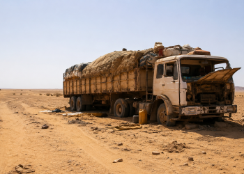 49 Nigerien Travelers Die of Thirst After Truck Breaks Down in Sahara