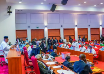 Xenophobia: NASS to Decide on South Africa Sanctions