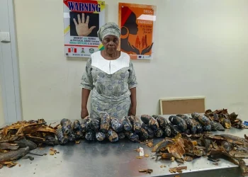 British-Nigerian Grandma Detained Over 13kg Cocaine in Plantain Peels