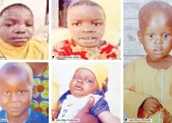 Lightning Strike Kills 6 Children in Adamawa Farm Tragedy