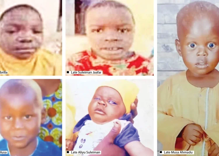 Lightning Strike Kills 6 Children in Adamawa Farm Tragedy