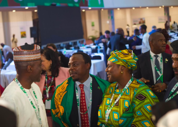 Nigeria Calls for Stronger African Unity Ahead of Global Telecoms Elections