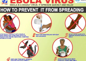 Experts Warn Nigerians Against Ebola Misinformation Ebola