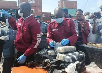 NDLEA Intercepts N10bn Narcotics in Major Lagos Port Sweep